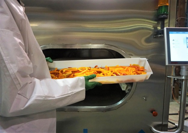 Microwave Vegetable Drying in Trays